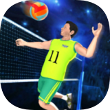 Volleyball Champions Game 3D